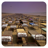 A Momentary Lapse